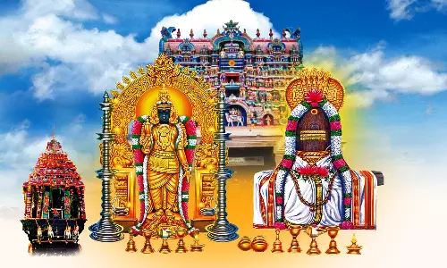 நெல்லையப்பர் கோவிலில் பவித்ரோட்சவ திருவிழா-நாளை மறுநாள் நடக்கிறது