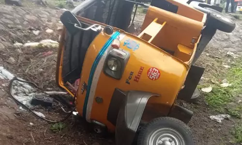 ஆட்டோ கவிழ்ந்து விபத்து-டிரைவர் காயம்