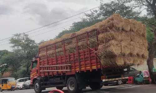 மின்கம்பத்தில் தாழ்வாக உள்ள மின்கம்பிகளை உயர்த்தி அமைக்க  கோரிக்கை