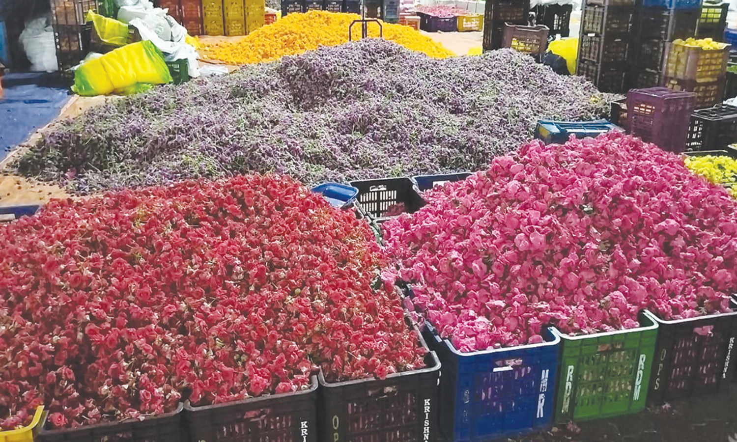 ஓணம் பண்டிகையை முன்னிட்டு களை கட்டிய தோவாளை மலர் சந்தை