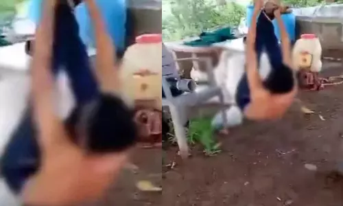 ஆடு, புறாக்களை திருடியதாக வாலிபரை தலைகீழ் தொங்கவிட்டு தாக்கியதோடு, சிறுநீர் கழித்த கொடூரம்