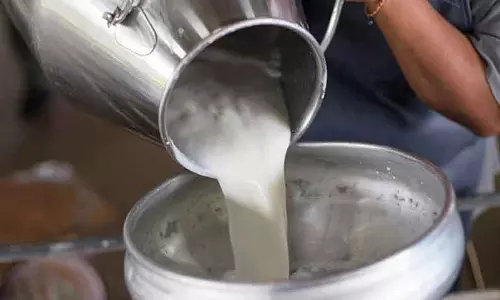 வெளிமாநில கொள்முதல் குறைப்பால் புதுச்சேரியில் மீண்டும் பால் தட்டுப்பாடு: பொதுமக்கள் அவதி