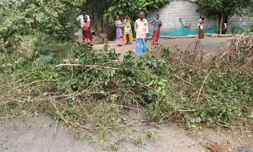 தனிநபர் மோதலால் தார் சாலையை மரங்கள்- கற்களை வைத்து அடைப்பு