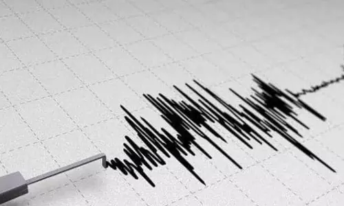 இந்தோனேசியாவின் பாலி கடல் பகுதியில் சக்தி வாய்ந்த நிலநடுக்கம்- ரிக்டர் அளவில் 7.0 ஆக பதிவு