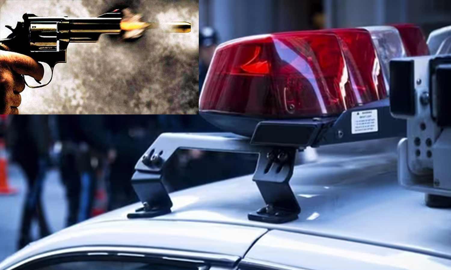 அமெரிக்காவில் பல்கலைக்கழகத்தில் துப்பாக்கி சூடு-பேராசிரியர் பலி