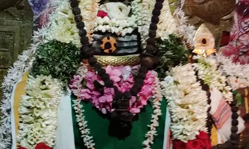 சிவன் கோவில்களில் சிறப்பு அபிஷேகம்