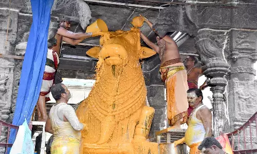 திருவண்ணாமலைக்கு கிரிவலம் வரும் பக்தர்கள் துணி பை பயன்படுத்த வேண்டும்