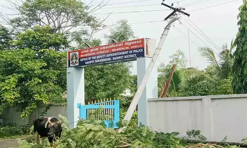 ராணிப்பேட்டையில் பலத்த காற்றுடன் மழை