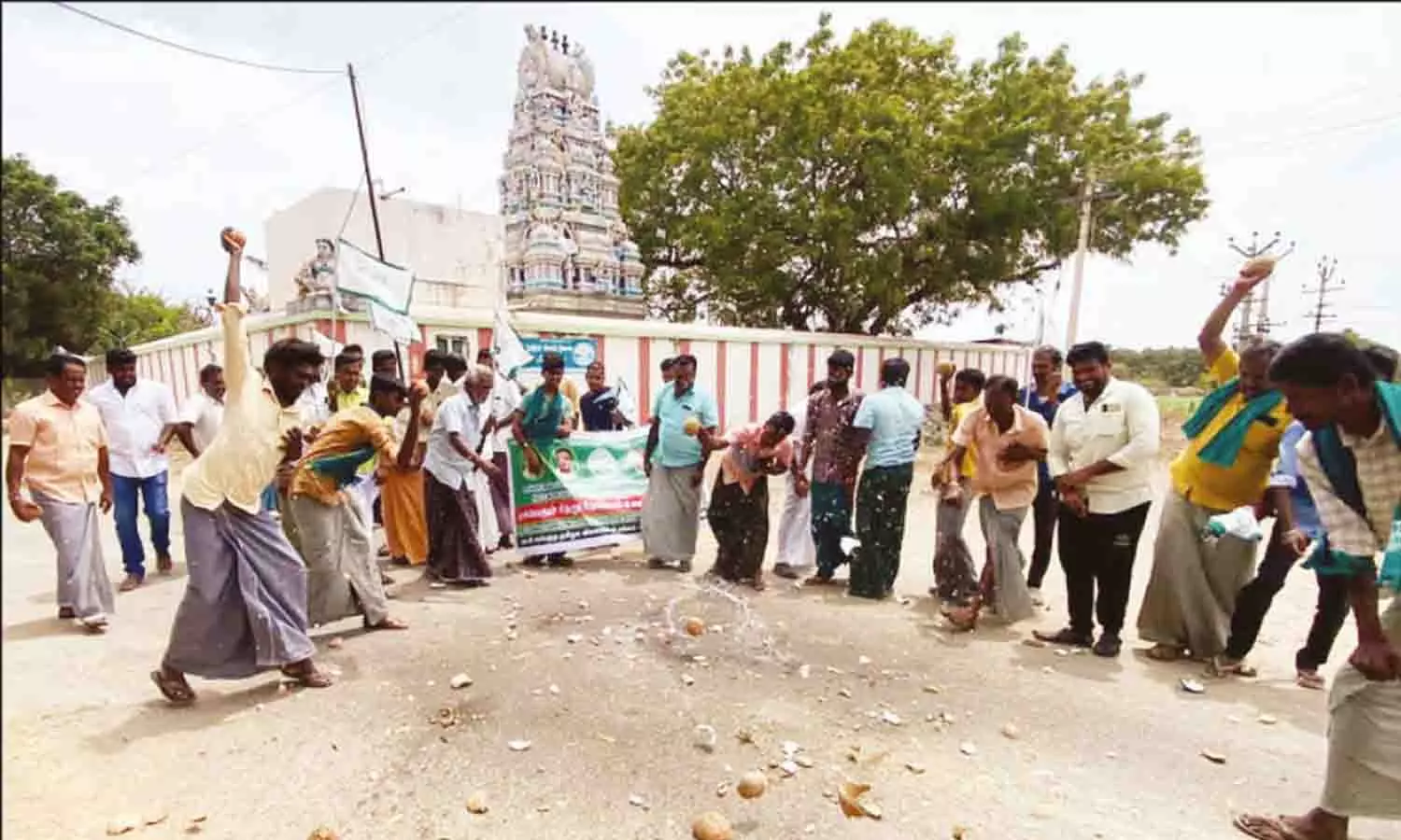 விலை வீழ்ச்சியை தடுக்க வலியுறுத்தி தேங்காய் உடைத்து போராட்டம் விலை வீழ்ச்சியை தடுக்க வலியுறுத்தி தேங்காய் உடைத்து போராட்டம்