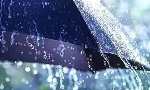 ராசிபுரம் பகுதியில் கனத்த மழை- வயல்களில் தண்ணீர் தேங்கியது