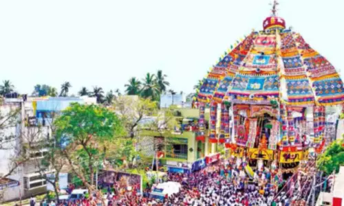 திருவாரூர் தியாகராஜர் கோவில்-அங்க பொருட்கள்!