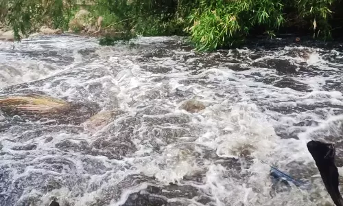 தேனி மாவட்டத்தில் கனமழை மூலவைகையாற்று நீர்பிடிப்பு பகுதியில் வெள்ளப்பெருக்கு