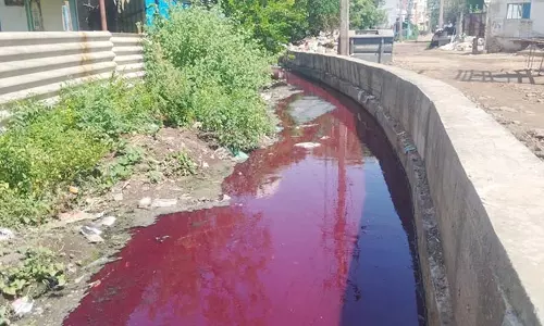 வண்டியூர் கண்மாய் பிரதான கால்வாயில் சிவப்பு நிறமாக மாறிய தண்ணீர்