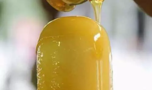 நடராஜருக்கு சிறப்பு அபிஷேகம்