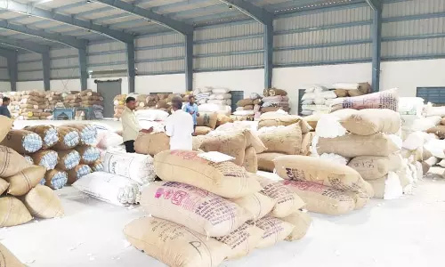 அரூரில் ரூ.20 லட்சத்திற்கு பருத்தி விற்பனை