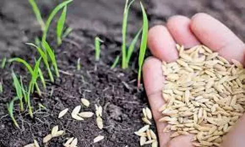 விதை விற்பனையாளர்கள் தரமான விதைகளை  விவசாயிகளுக்கு விற்பனை செய்ய வேண்டும்