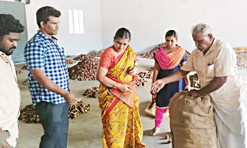 தேங்காய் விலையேற்றம்