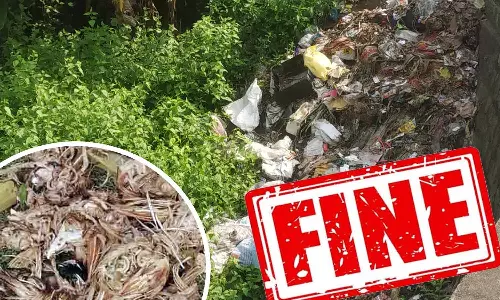 கால்வாயில்  குப்பை - கோழிக்கழிவு கொட்டுவோருக்கு அபராதம் விதிக்க வேண்டும் -  மாசு கட்டுப்பாட்டு வாரியம்  உத்தரவு