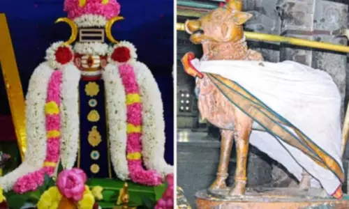 திருவாரூர் கோவில்-நின்ற கோலத்தில் நந்தி