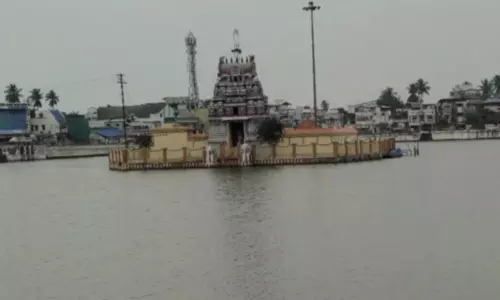 திருவாரூர் கோவில்-நாகநாதர் சன்னதி