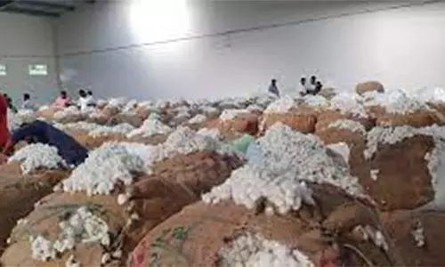 ஒழுங்குமுறை விற்பனை கூடத்தில் பருத்தி ஏலம்