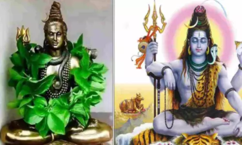 வில்வத்தில் அதிர்வை உணரலாம்