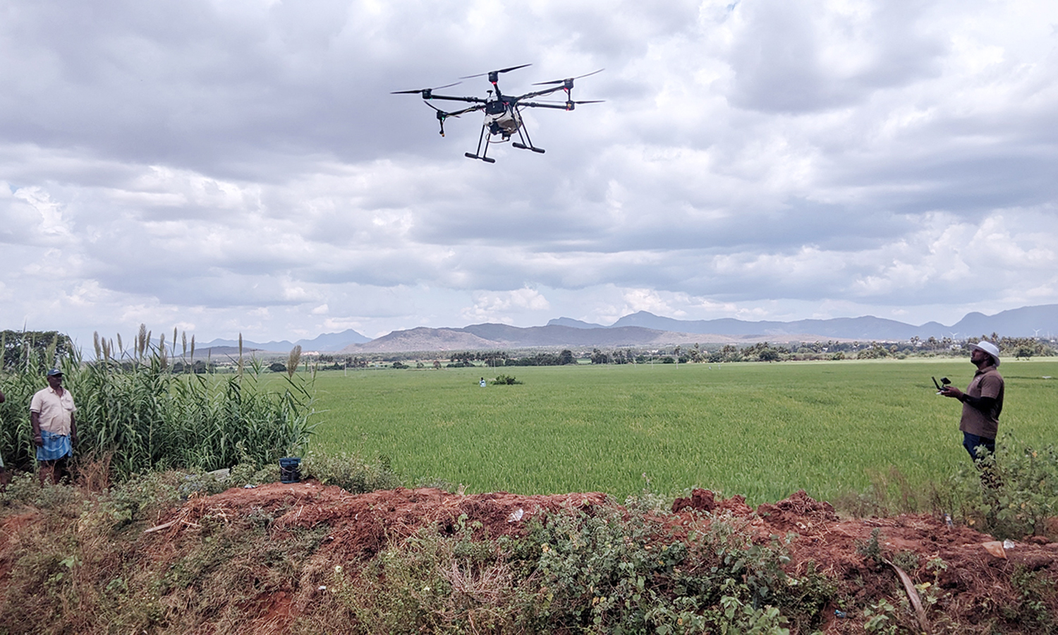 சின்னமனூர் அருகே வயல்களுக்கு டிரோன் மூலம் மருந்து தெளிக்கும் பணி
