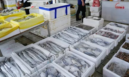 சீனாவின் தடை காரணமாக ஜப்பானின் கடல் உணவு ஏற்றுமதி பாதிப்பு