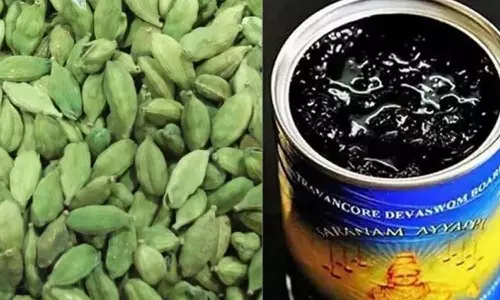 சபரிமலையில் பக்தர்களுக்கு வழங்கப்படும் அரவணை பாயாசம் சாப்பிடுவதற்கு ஏற்றது- சுப்ரீம் கோர்ட்டில் மத்திய அரசு தகவல்