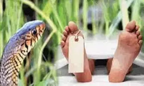 பாம்பு கடித்து முதியவர் சாவு