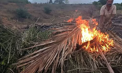 போடி அருகே  கடும் நஷ்டம் காரணமாக பட்டுப்புழுக்களை தீயிட்டு கொளுத்திய விவசாயிகள்