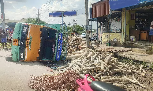 ஒட்டன்சத்திரத்தில் மினி லாரி கவிழ்ந்து டிரைவர் படுகாயம்