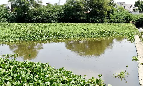 ஈரோடு மாவட்டத்தில் 3-வது நாளாக பரவலாக பெய்த மழை