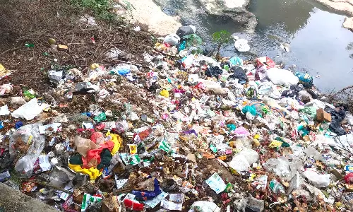 கோவையில் குப்பைகளாக காட்சியளிக்கும் நீர்நிலைகள்- நோய் பரவும் அபாயம்