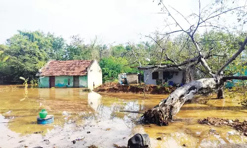 தருமபுரி-கிருஷ்ணகிரி மாவட்டங்களில் இடியுடன் கூடிய கனமழை
