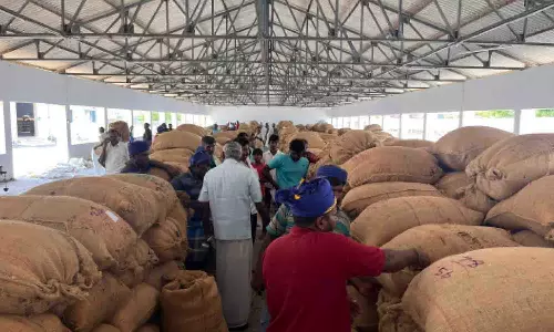 வெள்ளகோவில் வேளாண் ஒழுங்குமுறை விற்பனை கூடத்தில் ரூ.15 லட்சத்திற்கு சூரியகாந்தி விதை ஏலம்