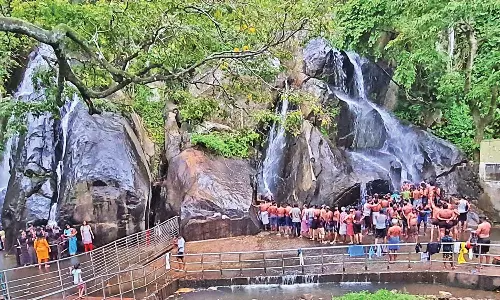 நெல்லை மாவட்ட அணை பகுதியில் கனமழை: பாபநாசம் அணை நீர்மட்டம் ஒரே நாளில் 5 அடி உயர்வு