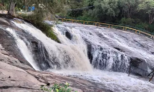 சோத்துப்பாறை நீர்மட்டம் ஒரே நாளில் 5 அடி உயர்வு: கும்பக்கரை அருவிக்கு செல்ல தடை