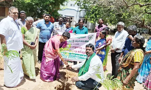 திருச்செந்தூர் யூனியனில் சுற்றுச்சூழலை பாதுகாக்க 10 ஆயிரம் மரக்கன்றுகள் நடும் விழா