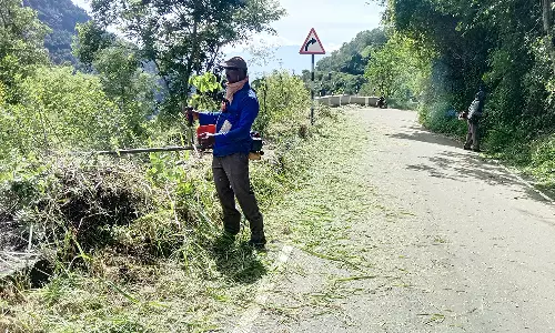 சித்தரேவு-மீனாட்சி ஊத்து இடையே சாலையோர செடிகளை அகற்றும் பணி