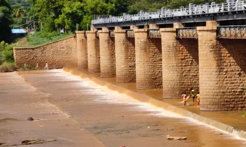 நிலக்கோட்டையில் 10 செ.மீ. பதிவு தொடர்மழையால் விவசாயிகள் மகிழ்ச்சி