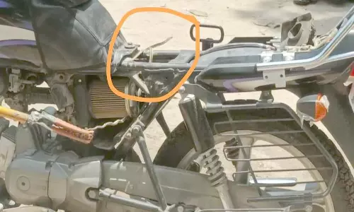 பைக்கில் நுழைந்த கொம்பேரி மூக்கன் பாம்பு