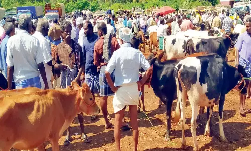சீனாபுரம் சந்தையில் ரூ.1 கோடிக்கு கால்நடைகள் விற்பனை
