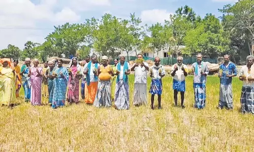 தண்ணீரின்றி குறுவை நெற்பயிர்கள் பாதிப்பு; விவசாயிகள் வேதனை