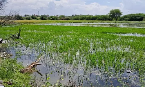 2 நாட்களாக பெய்த கனமழையால் நிறைந்த பிடமனேரி ஏரி