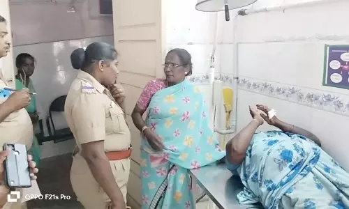 மரக்கிளை முறிந்து விழுந்து 6 பெண்கள் படுகாயம்
