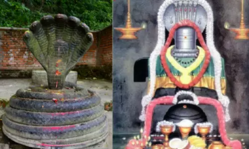 திருவொற்றியூர் கோவில்-படம் பக்க நாதர்