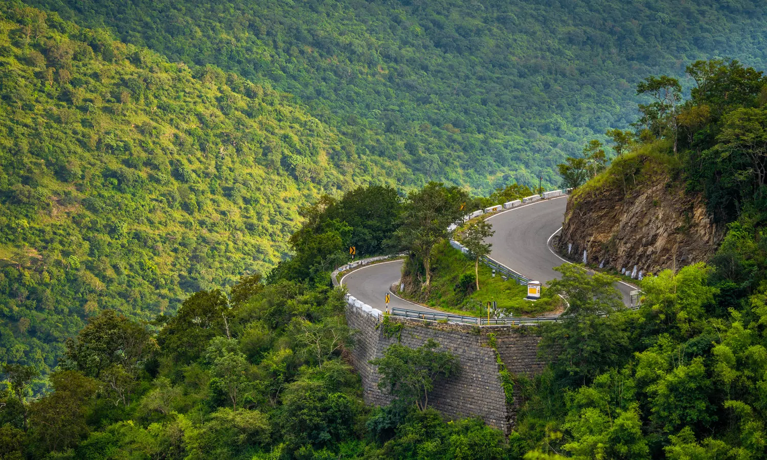 பசுமையாக காட்சி அளிக்கும் தாளவாடி-பர்கூர் வனப்பகுதிகள் பசுமையாக காட்சி அளிக்கும் தாளவாடி-பர்கூர் வனப்பகுதிகள்