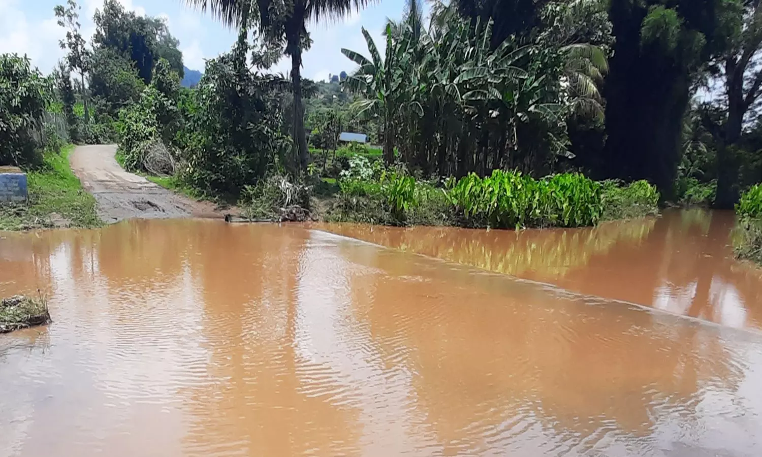 அணைக்கட்டு அடுத்த தொங்குமலையில் மழைநீரில் தரைப்பாலம் மூழ்கியதால் அணைக்கட்டு அடுத்த தொங்குமலையில் மழைநீரில் தரைப்பாலம் மூழ்கியதால்