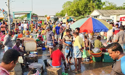 கடலூர் துறைமுகத்தில் மீன்கள் விலை கிடு கிடு உயர்வு